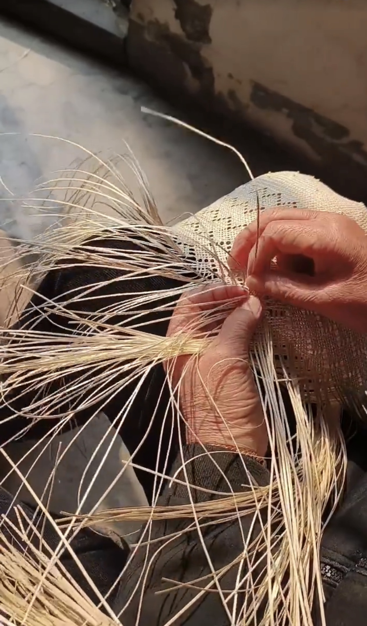 Straw Hat Bodies Production